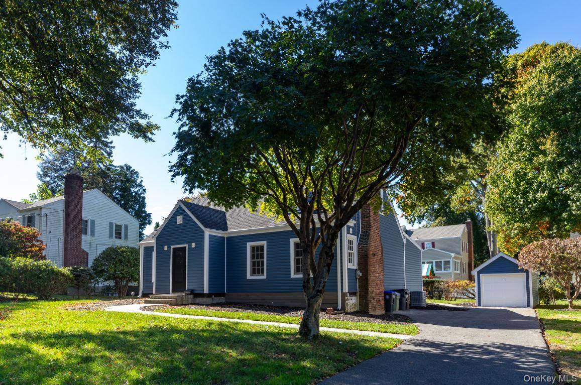 11 Homewood Road – For Rent photo 4