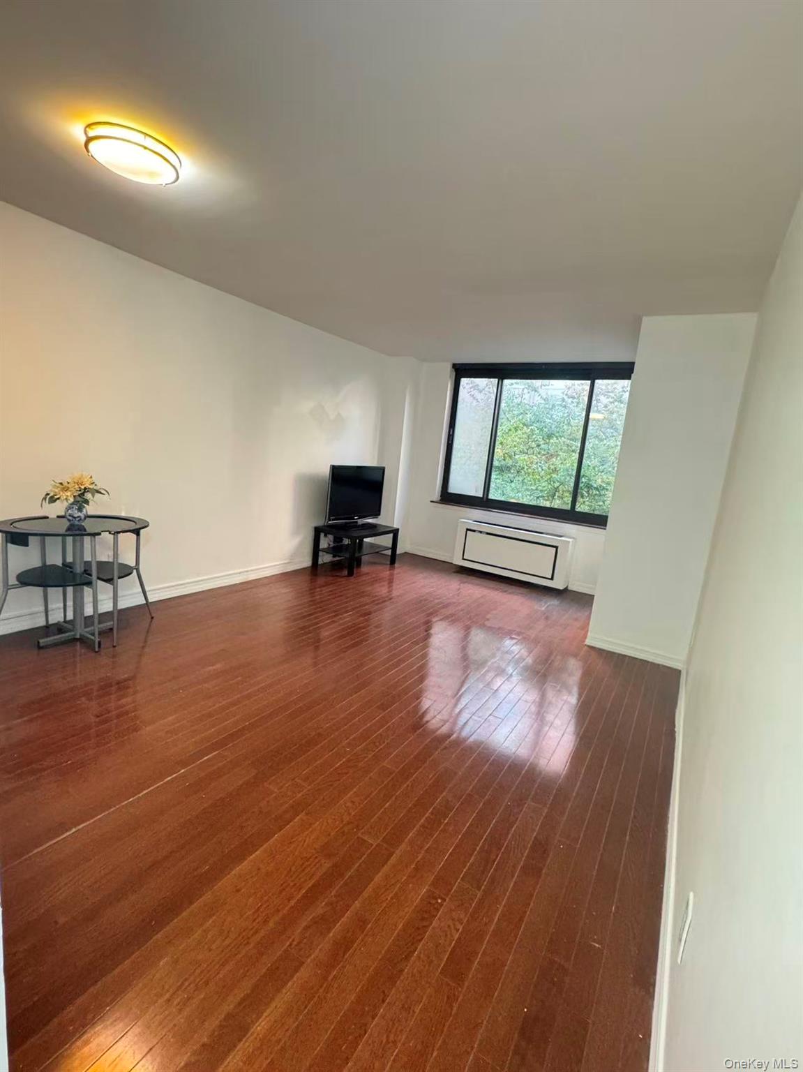 300 Albany Street, Unit 4L photo 6