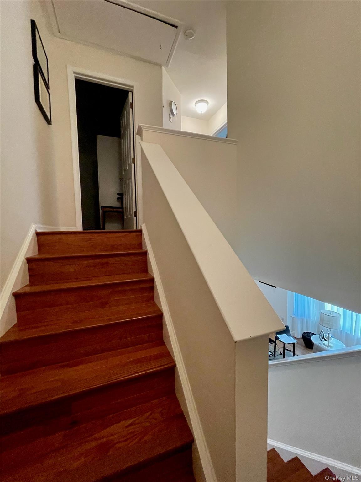 1804 Dorset Drive – For Rent photo 13