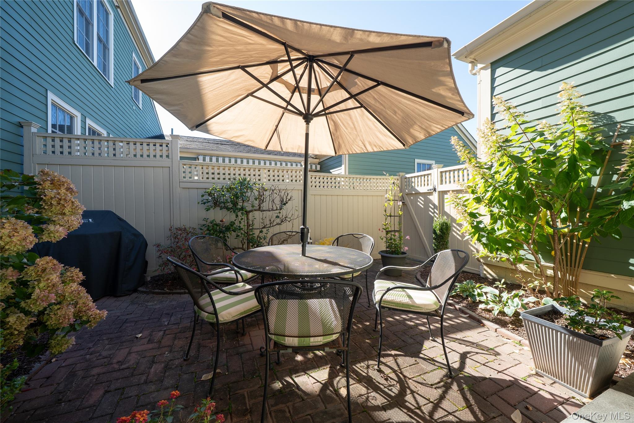 52 Cropsey Street – For Sale photo 42
