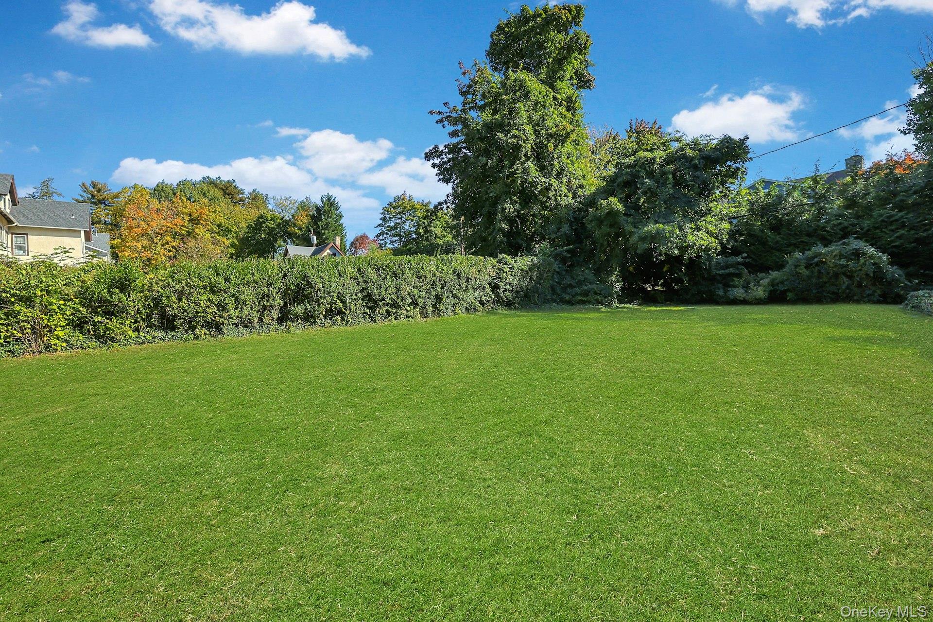 43 Broadview Avenue – For Sale photo 34