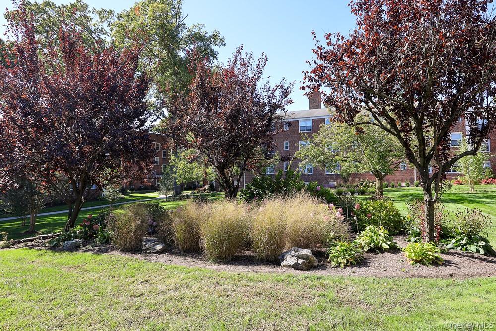 12 Edwards Street, Unit 1B photo 26