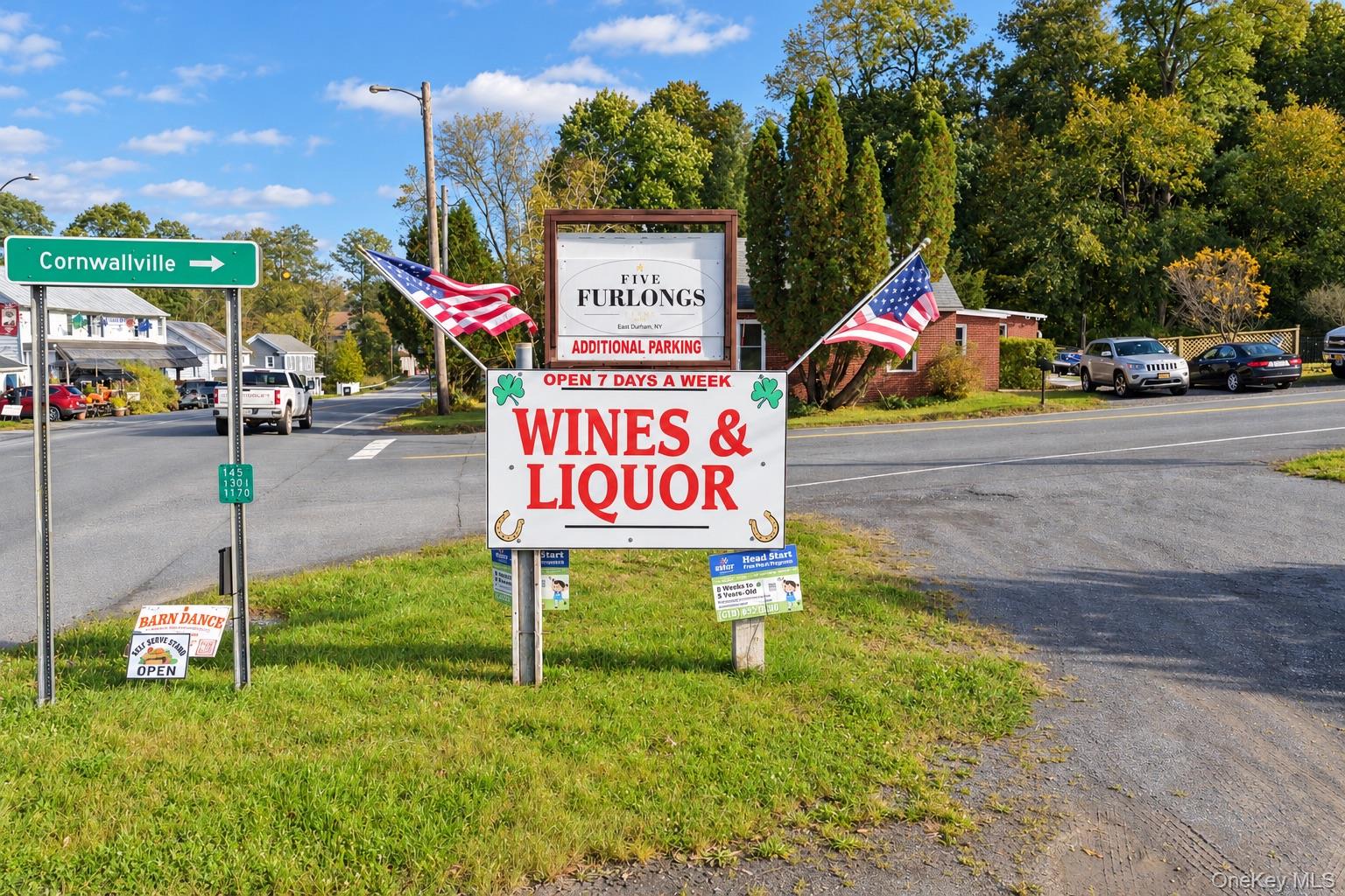379 & 391 Route 145 – For Sale photo 4