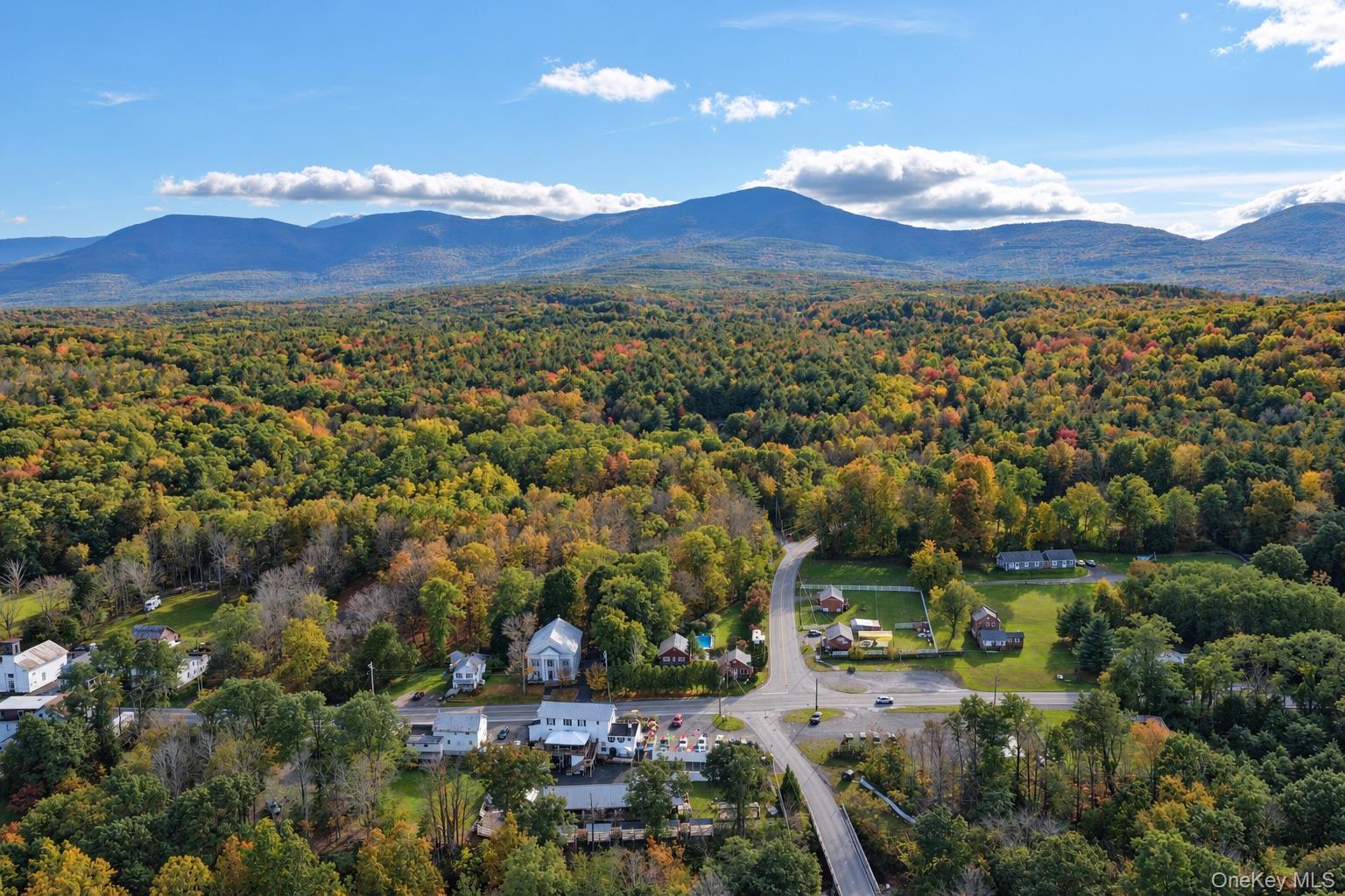 379 & 391 Route 145 – For Sale photo 32