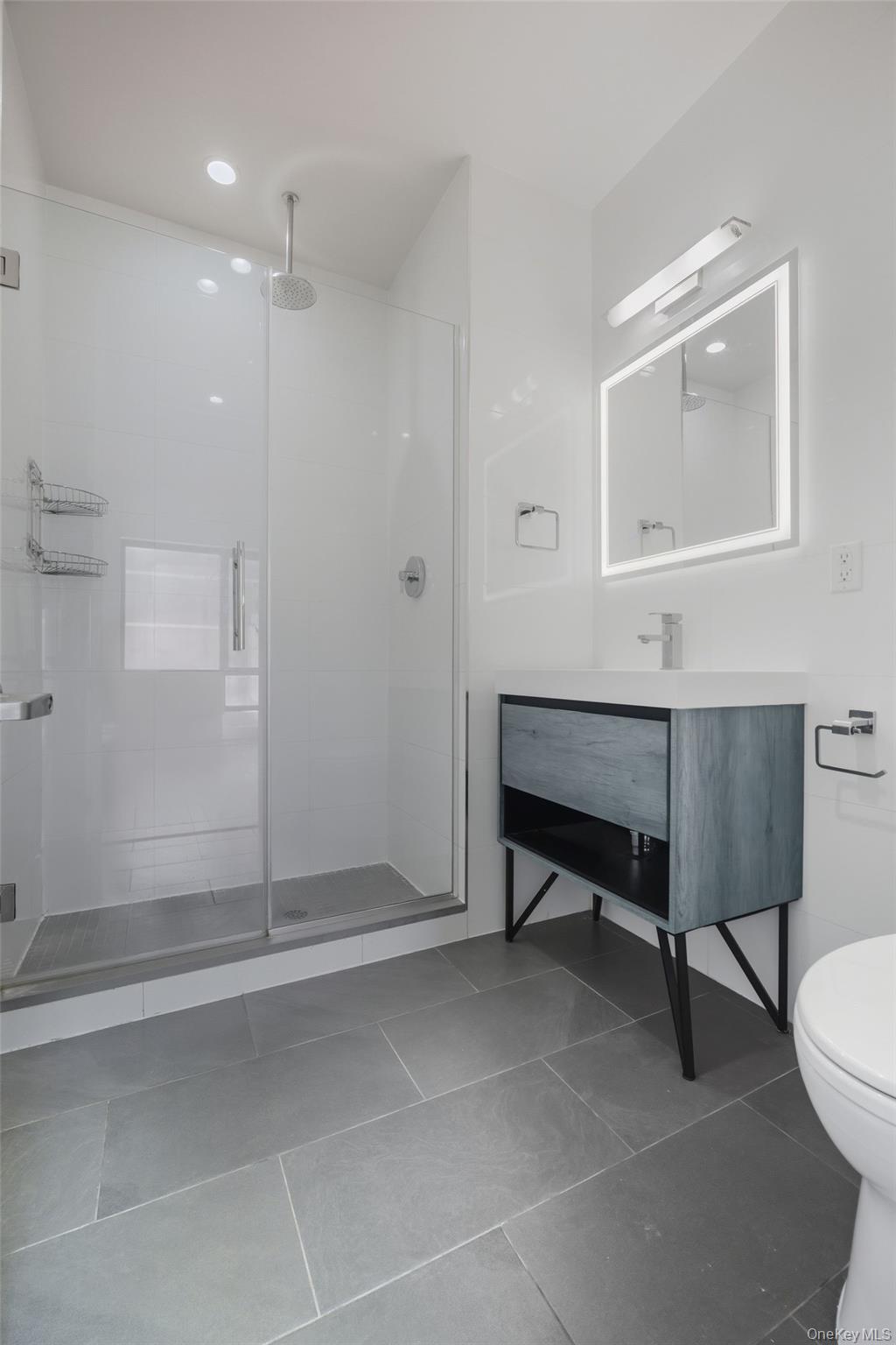 225 E 138th Street E, Unit PH 1 photo 14