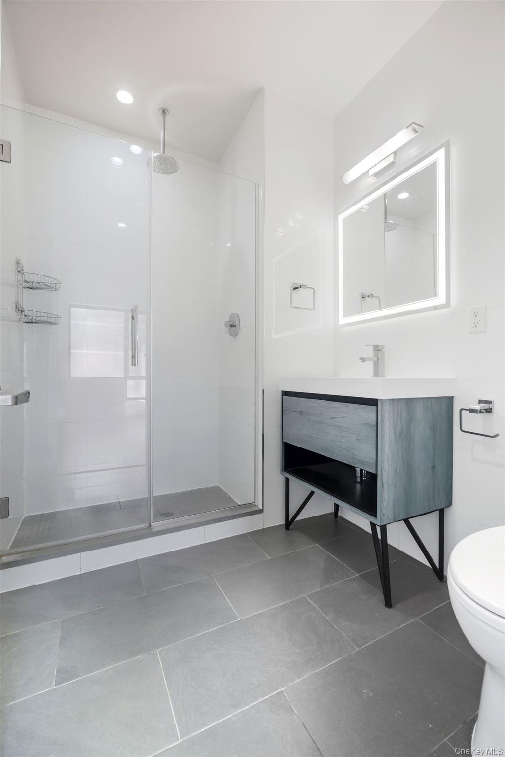 225 E 138th Street E, Unit PH 1 photo 16