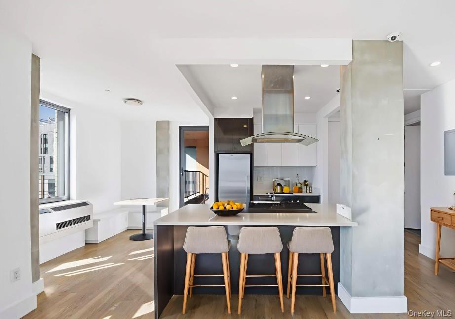 225 E 138th Street E, Unit PH 1 photo 10