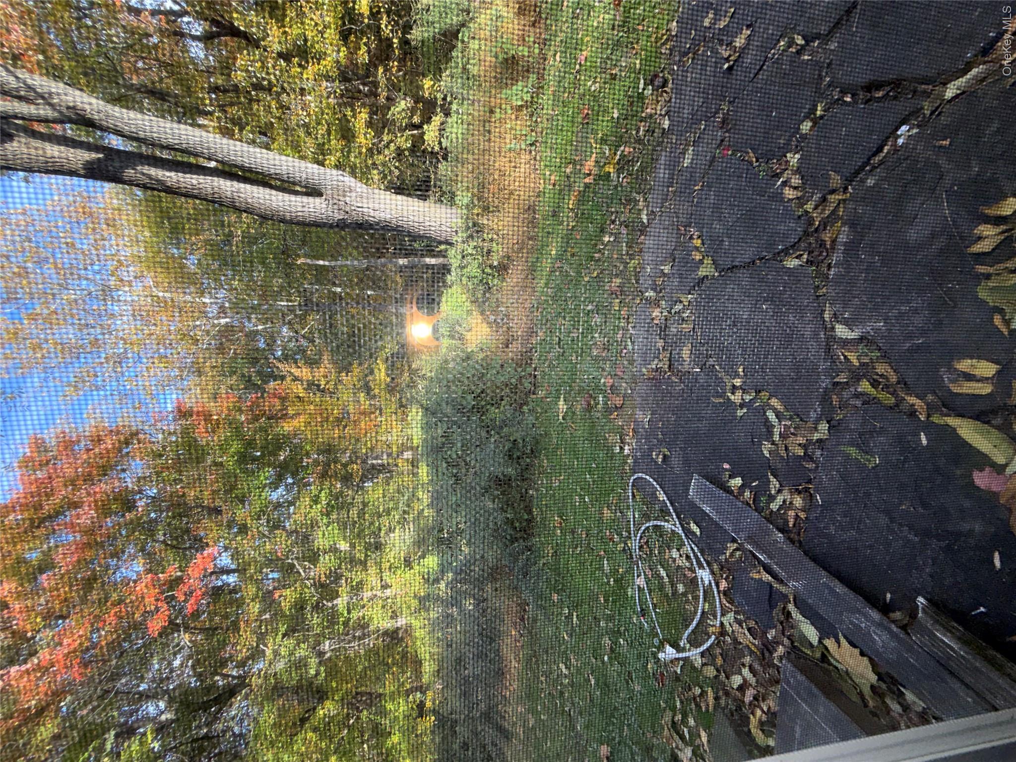124 Camp Hill Road – For Rent photo 11