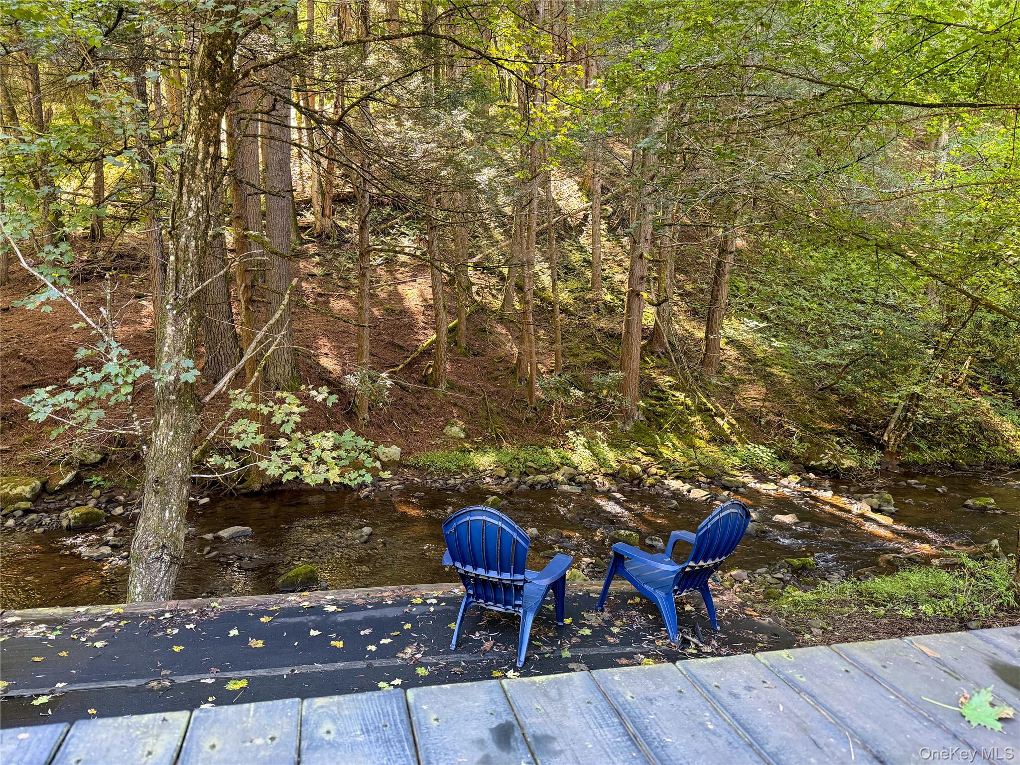 615 County Road 116, Unit 647 photo 27