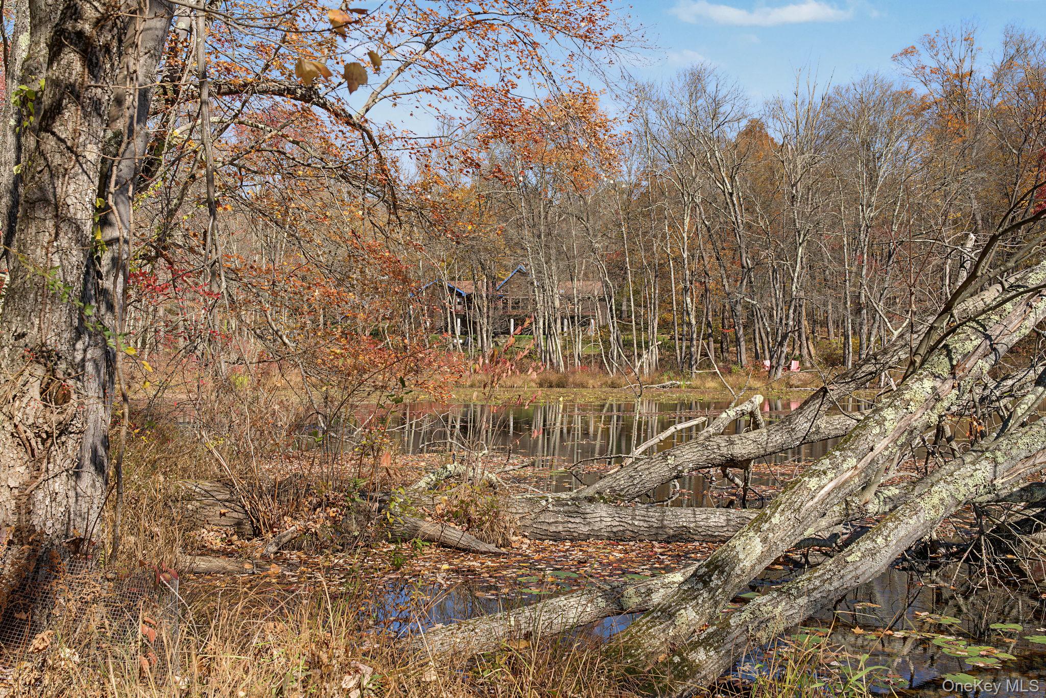 853 Route 292 – For Sale photo 33