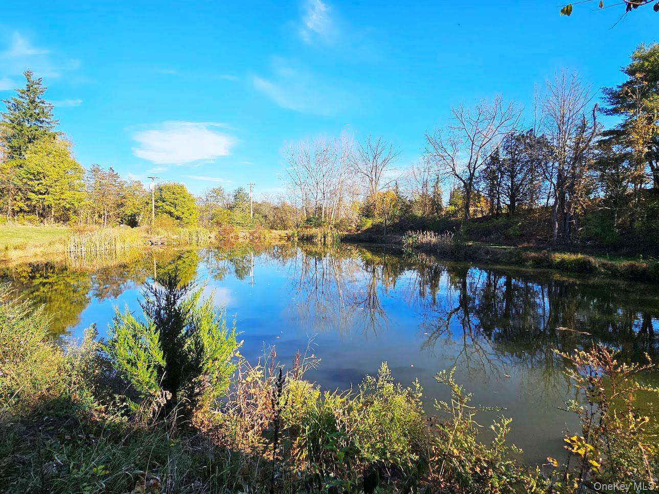 274 Fingar Road 274 – For Sale photo 8