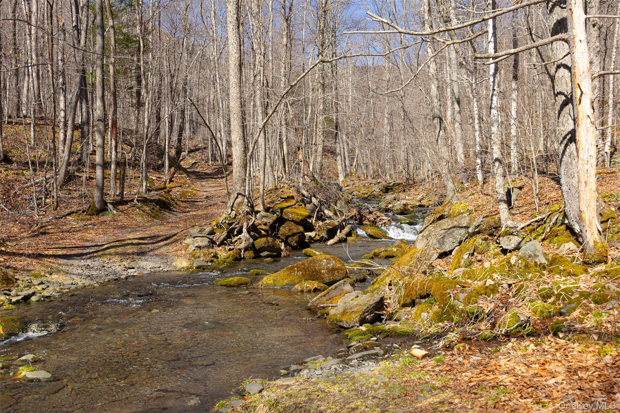 2595 Rt-214 – For Sale photo 30