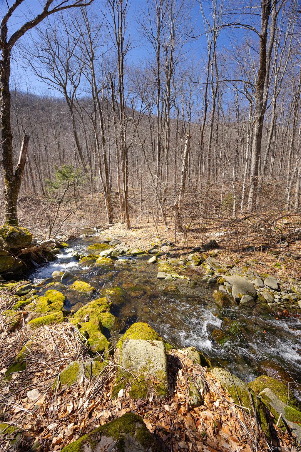 2595 Rt-214 – For Sale photo 31
