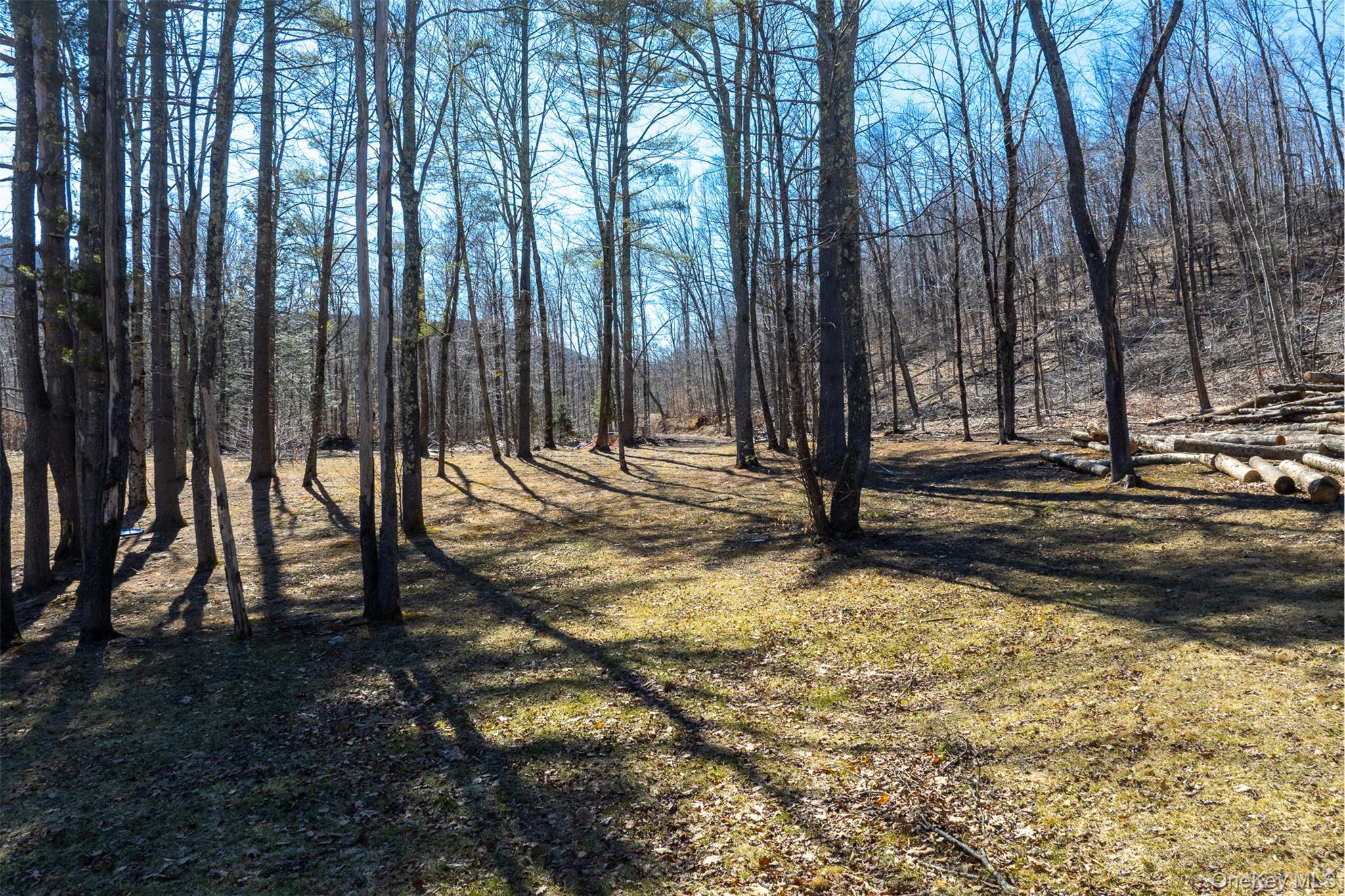 2595 Rt-214 – For Sale photo 32