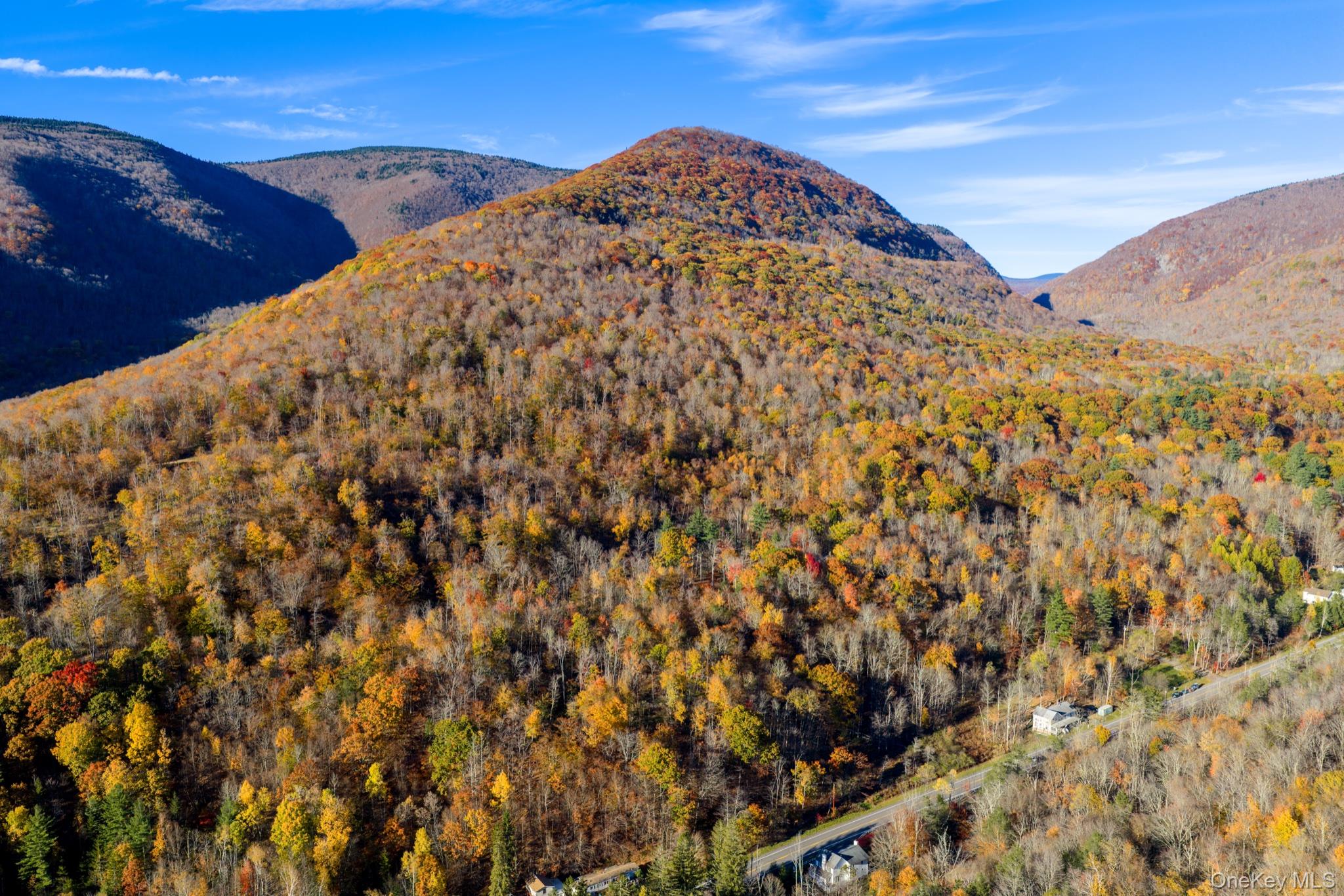 2595 Rt-214 – For Sale photo 2
