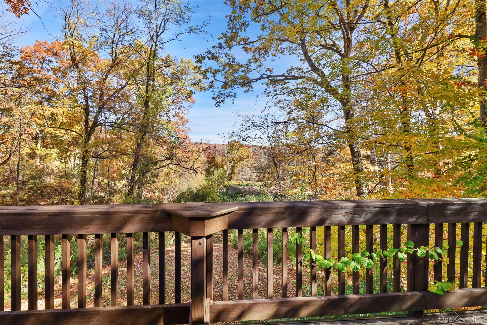 18 Laurie Court – For Sale photo 38