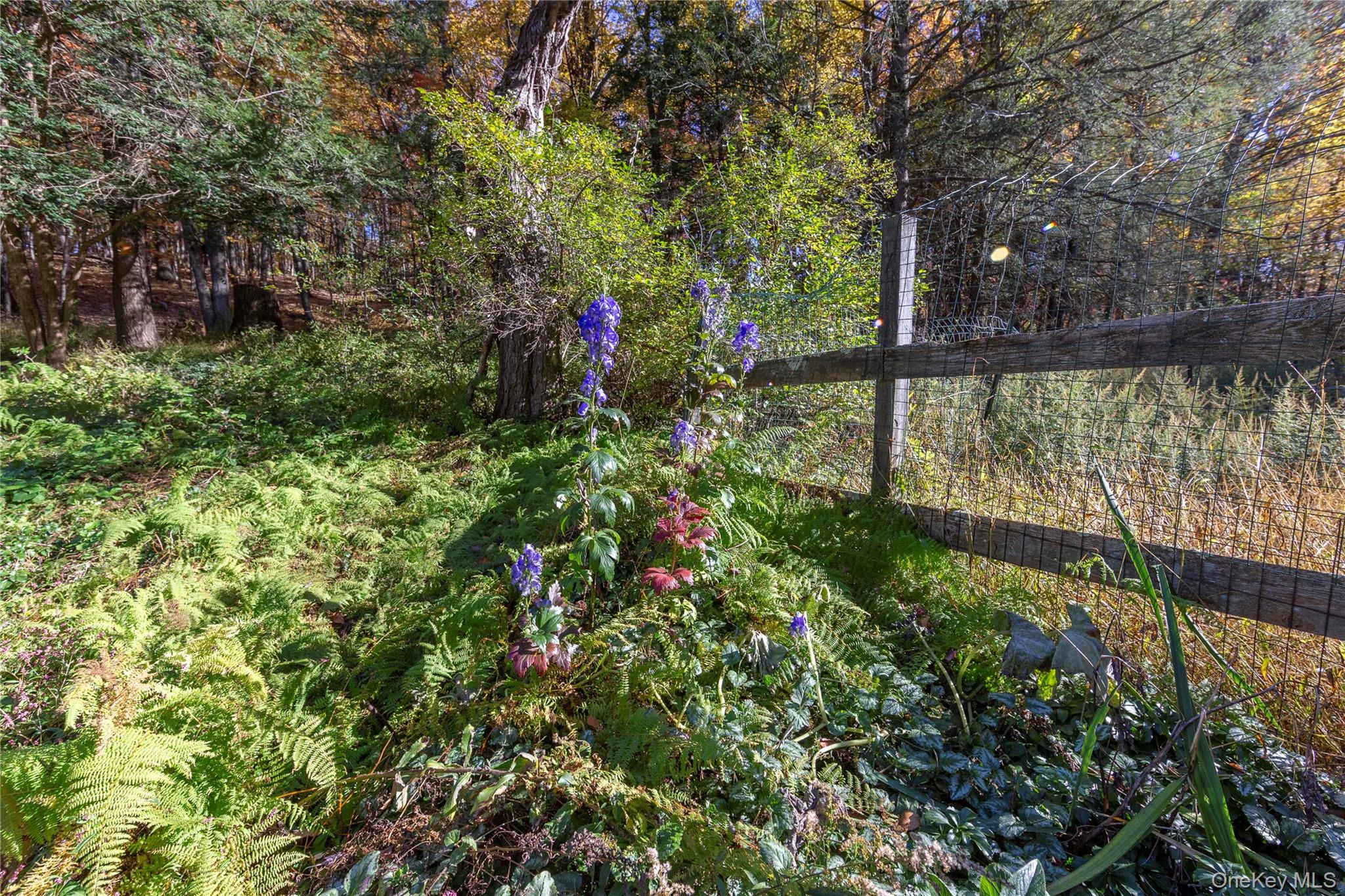 41 Game Farm Road – For Sale photo 45