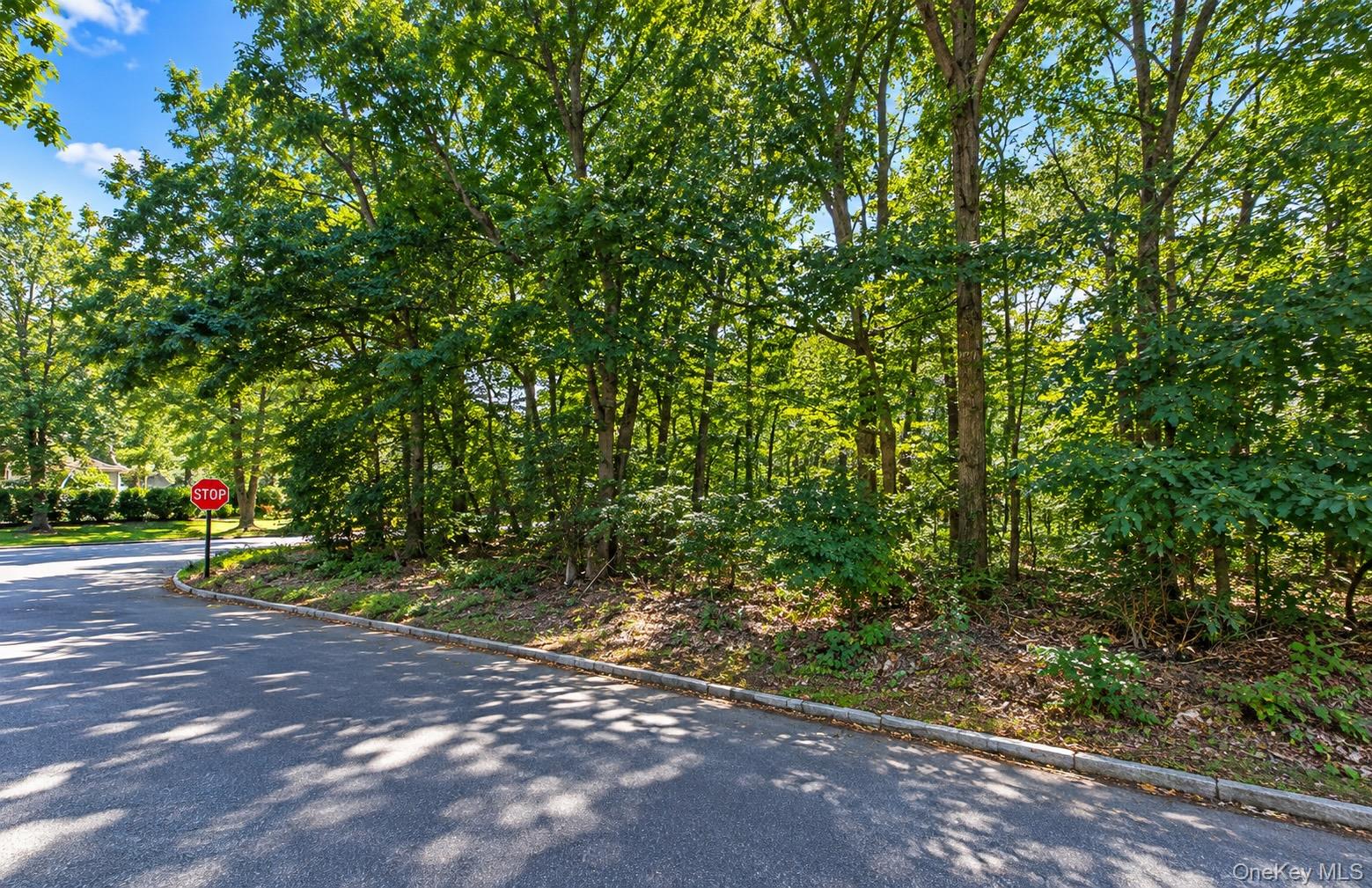 Central Boulevard – For Sale photo 2