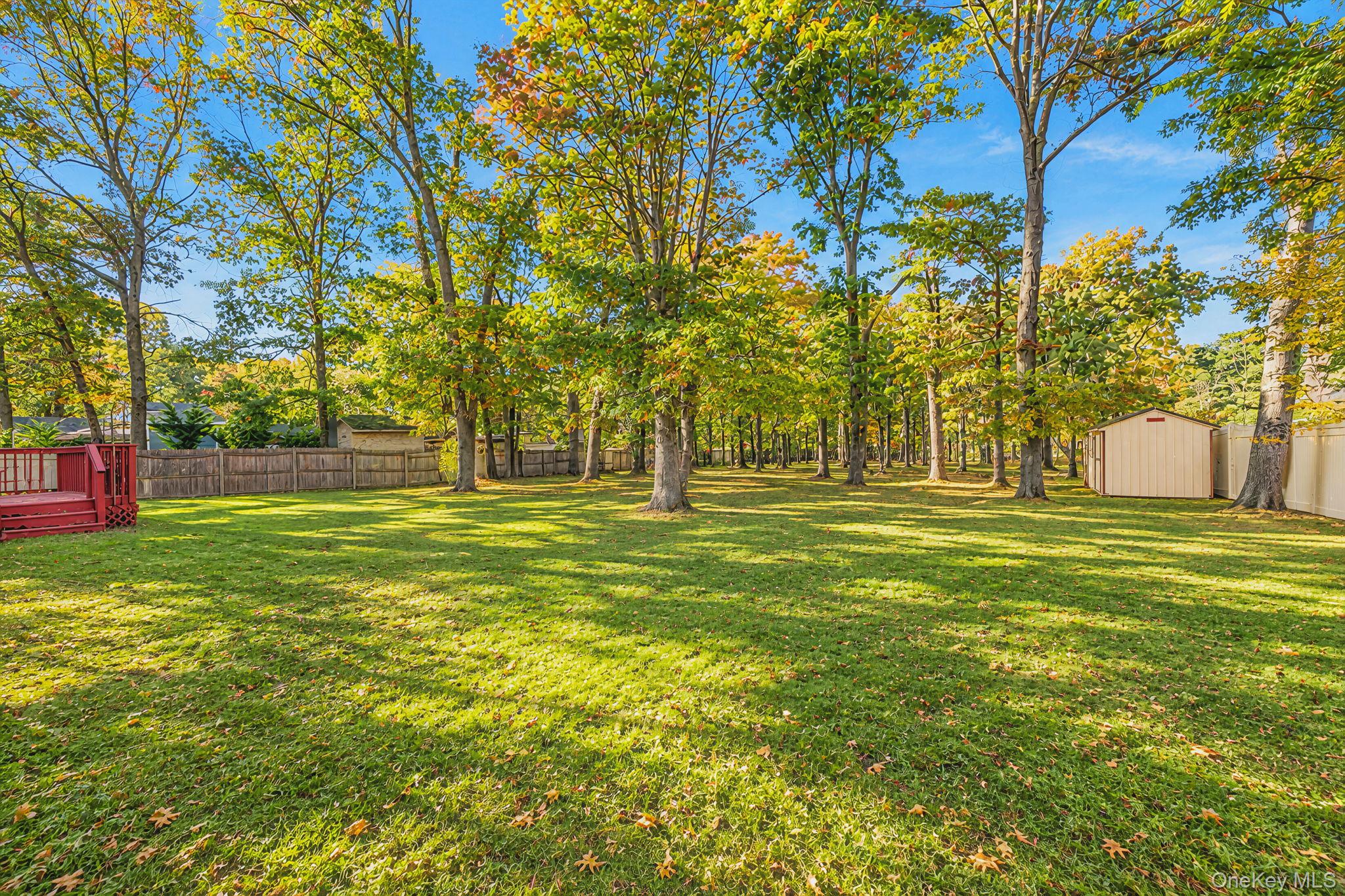 77 Wilson Avenue – For Sale photo 17