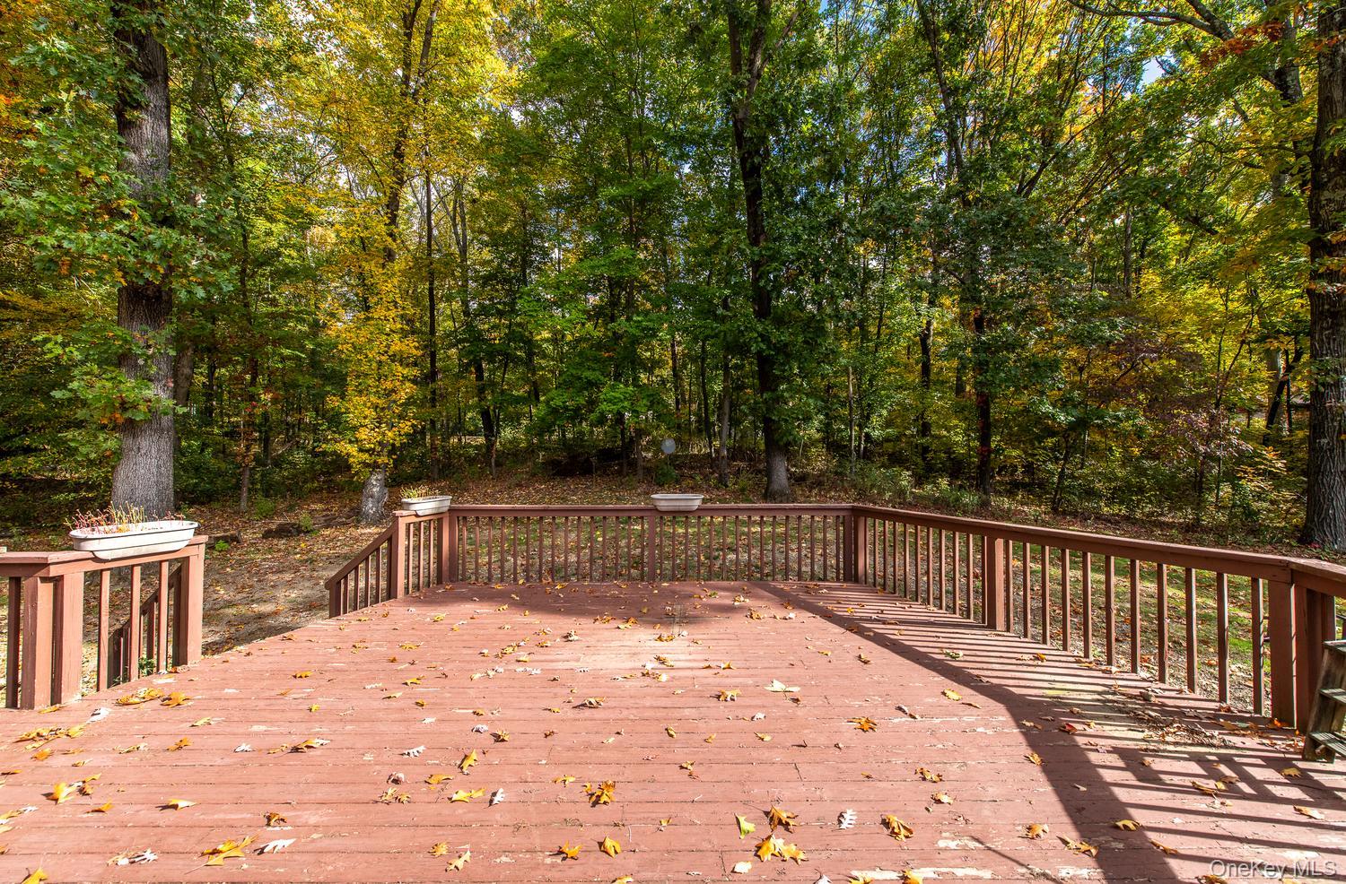 11 King Road – For Sale photo 43