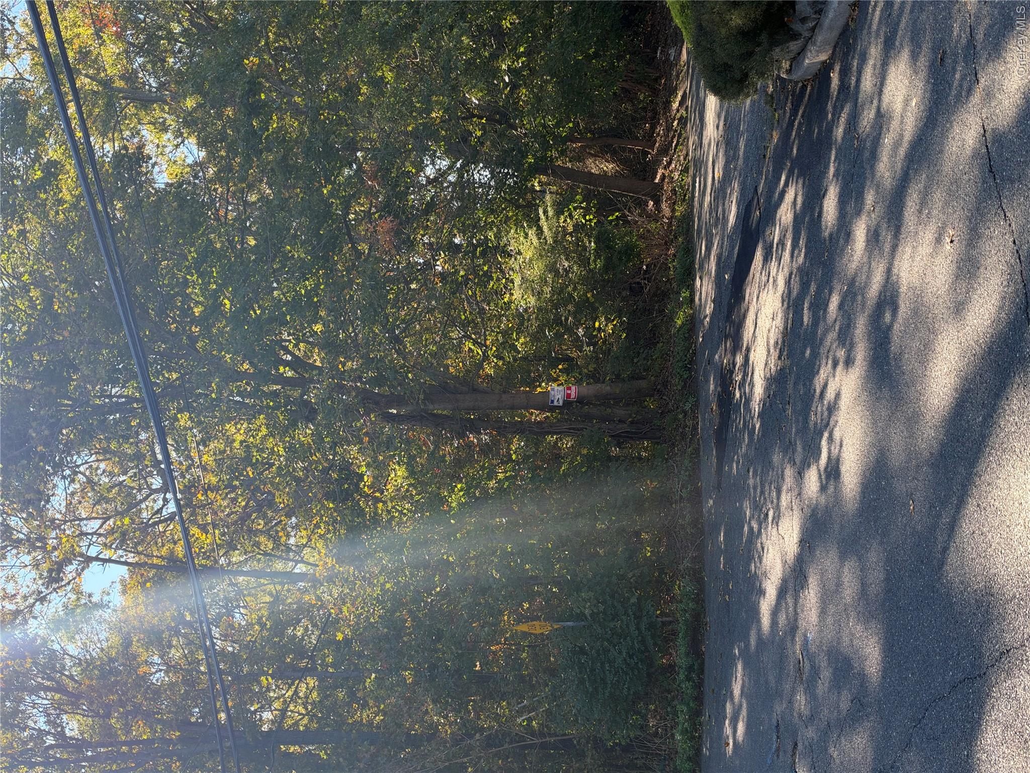 Morris Avenue – For Sale photo 4