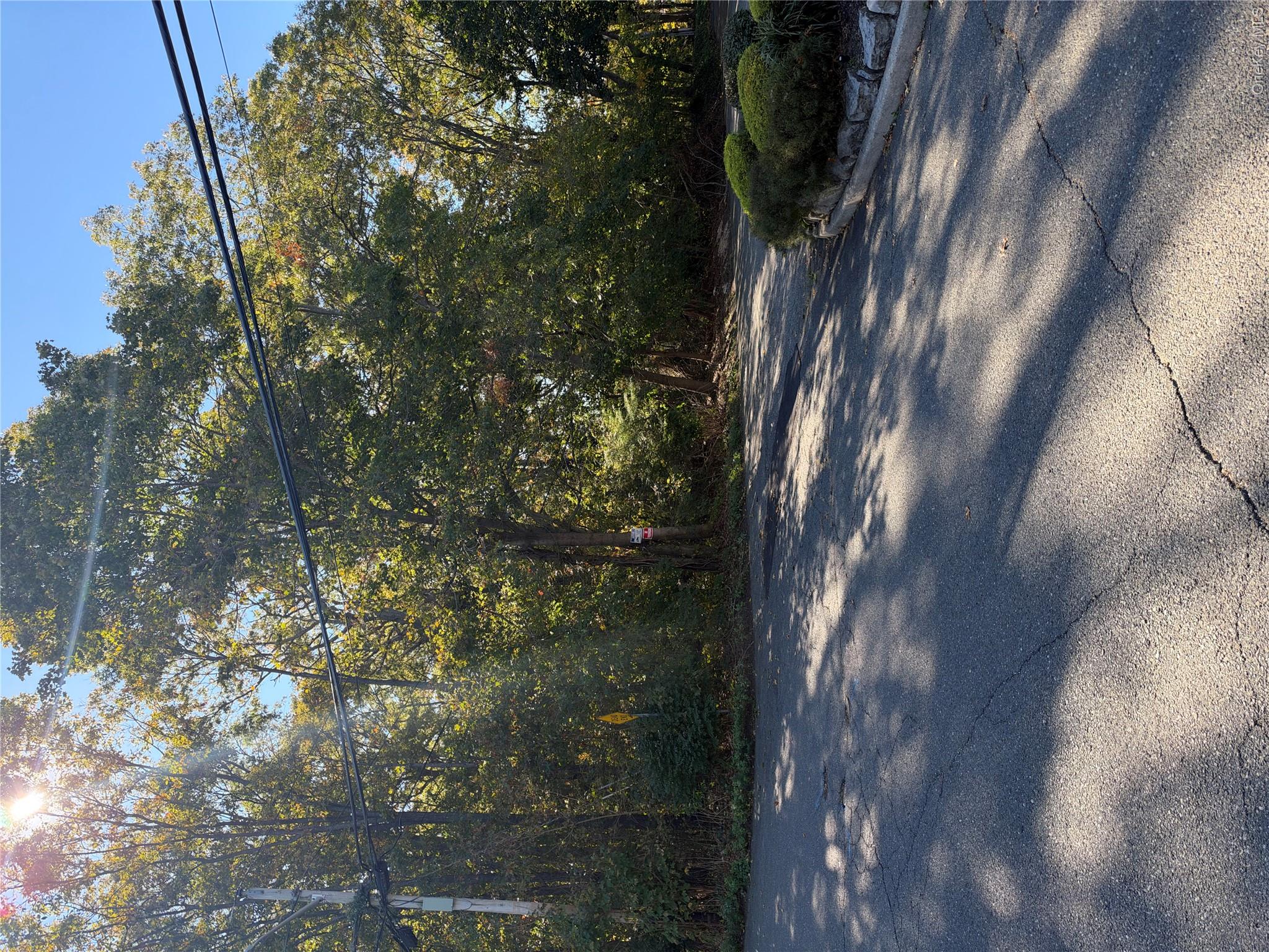 Morris Avenue – For Sale photo 2