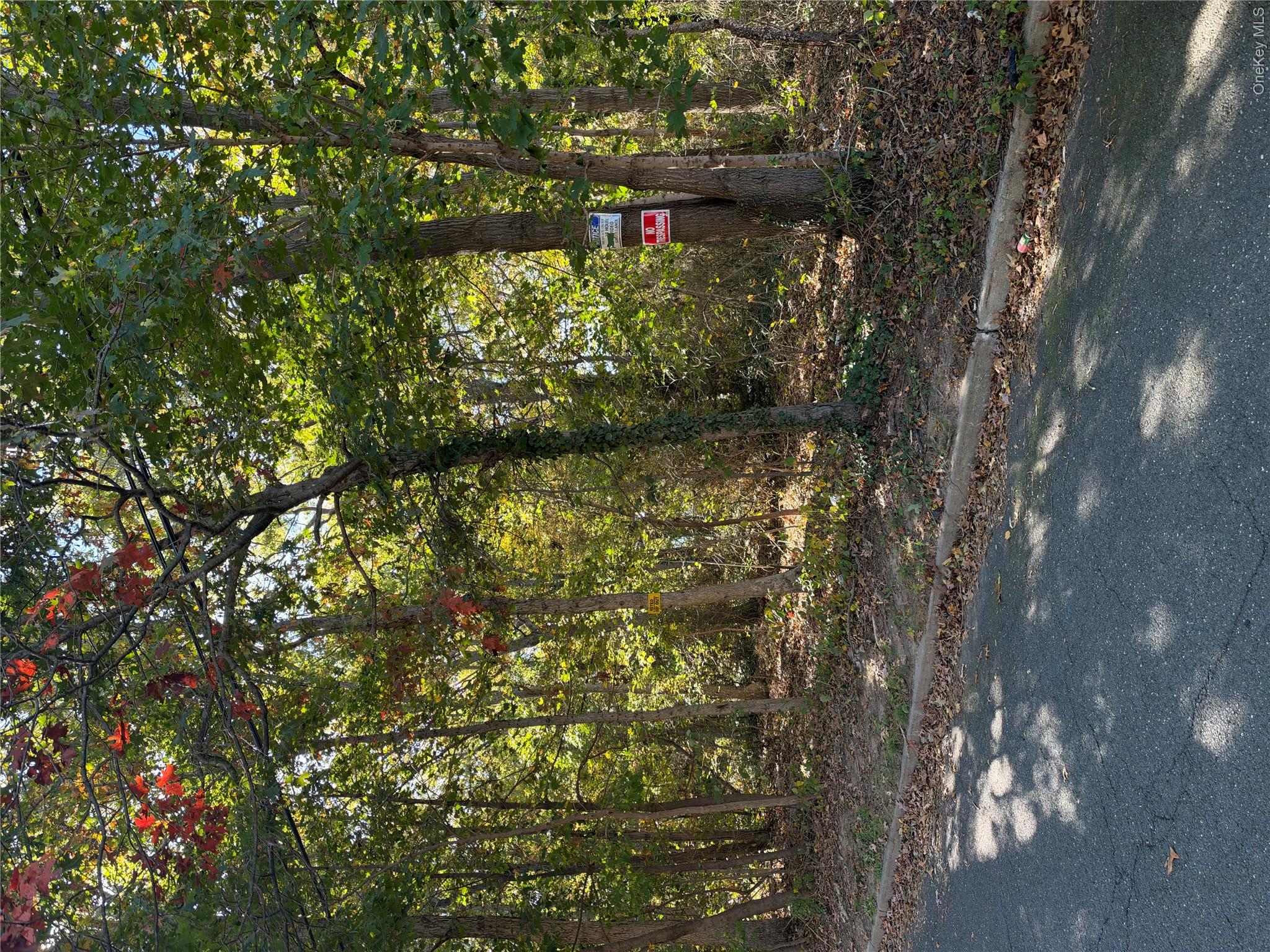 Morris Avenue – For Sale photo 5