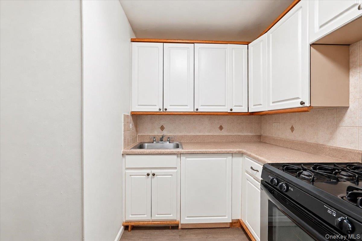 1165 E 54th Street, Unit 3H photo 11