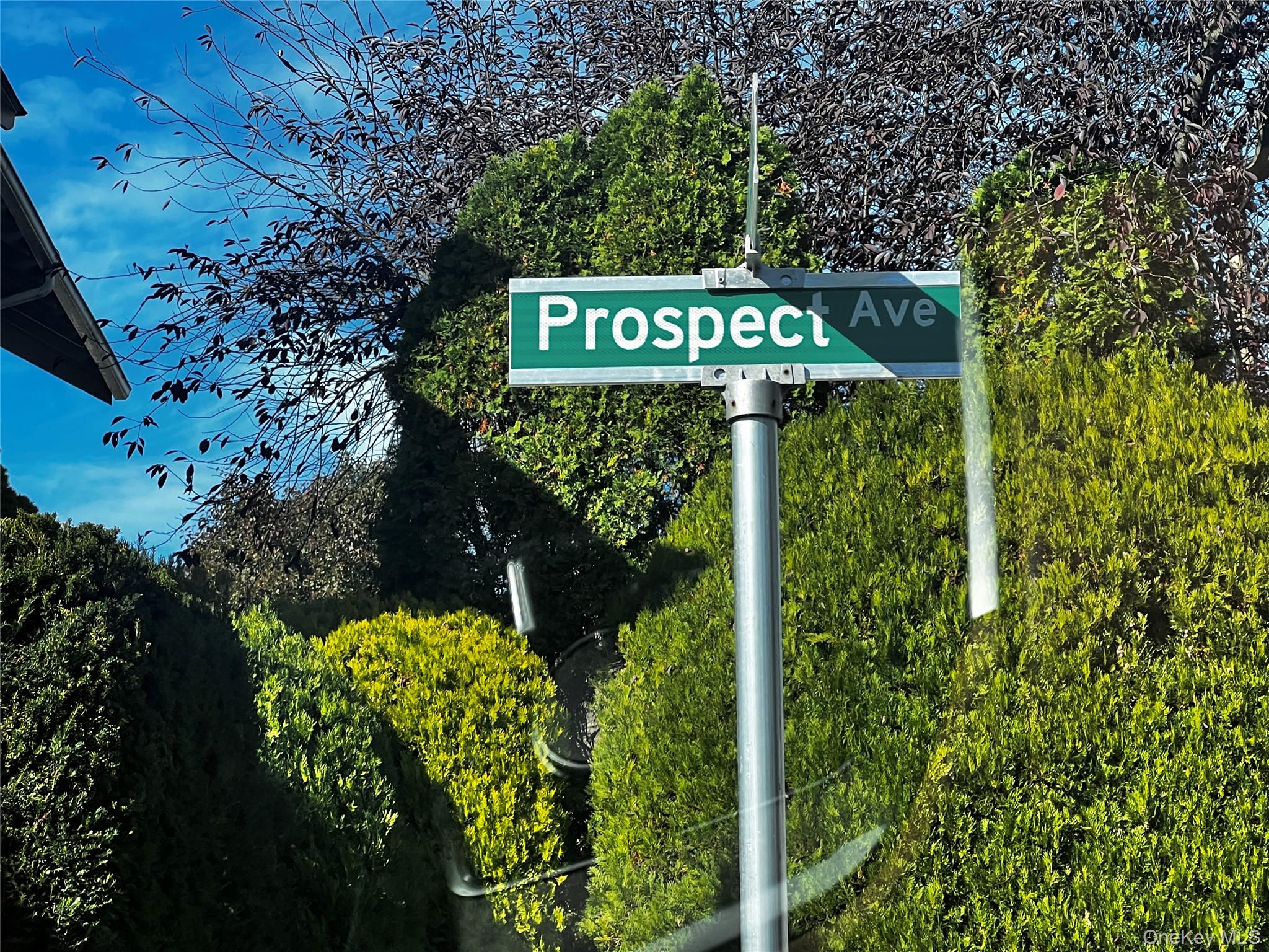 143 Prospect Avenue – For Sale photo 14