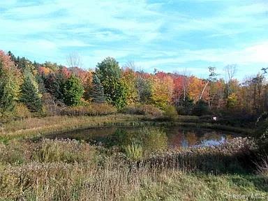 229 Menges Road – For Sale photo 4