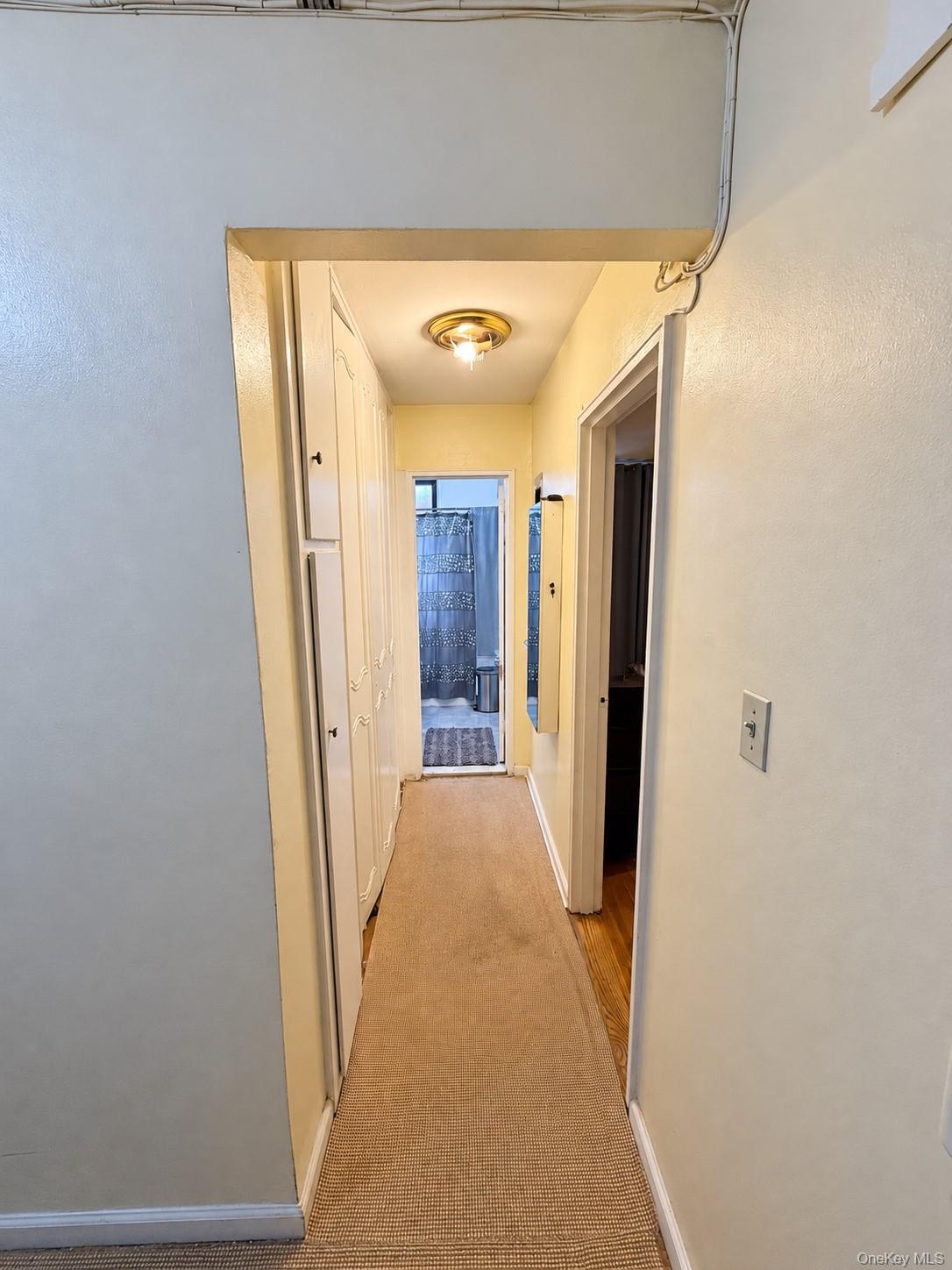 1200 E 53rd Street, Unit 3P photo 11