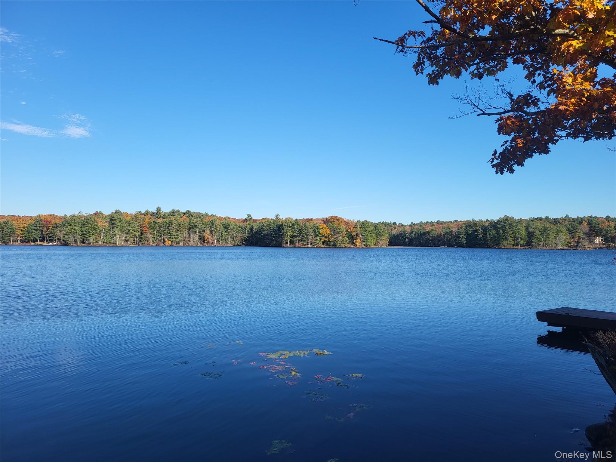 109 Delaware Trail – For Sale photo 20