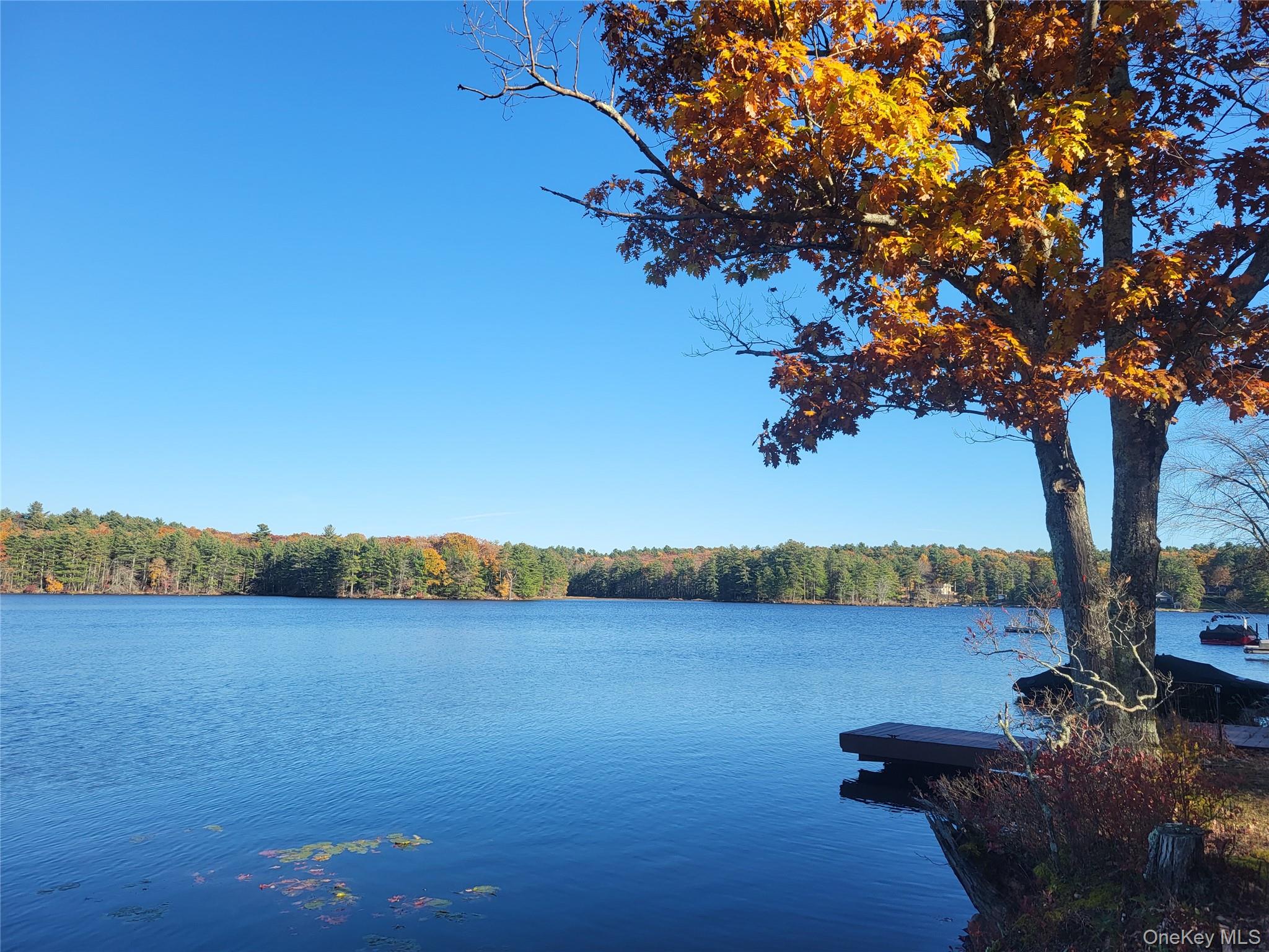 109 Delaware Trail – For Sale photo 21
