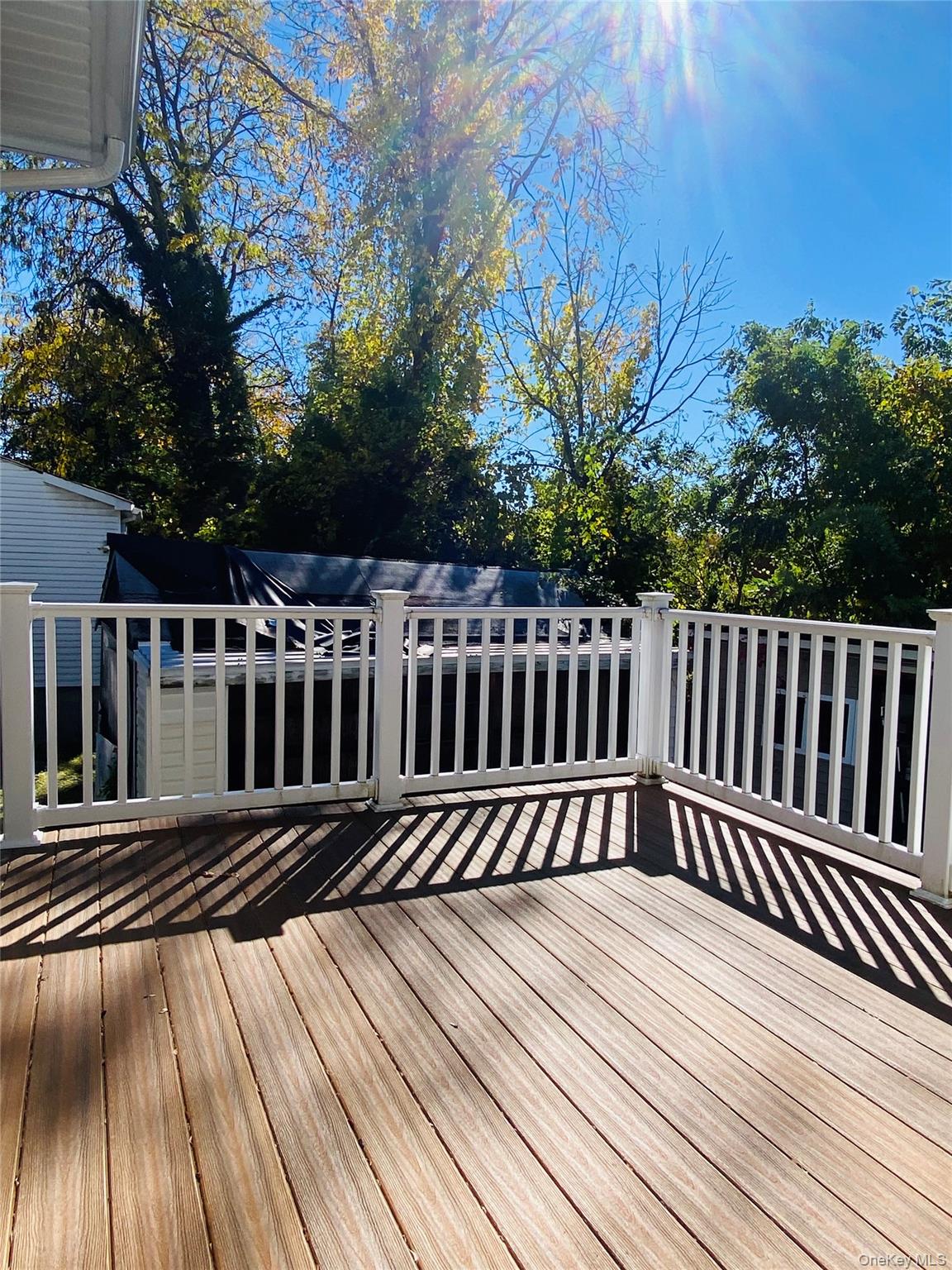 43 Schneider Avenue – For Rent photo 6