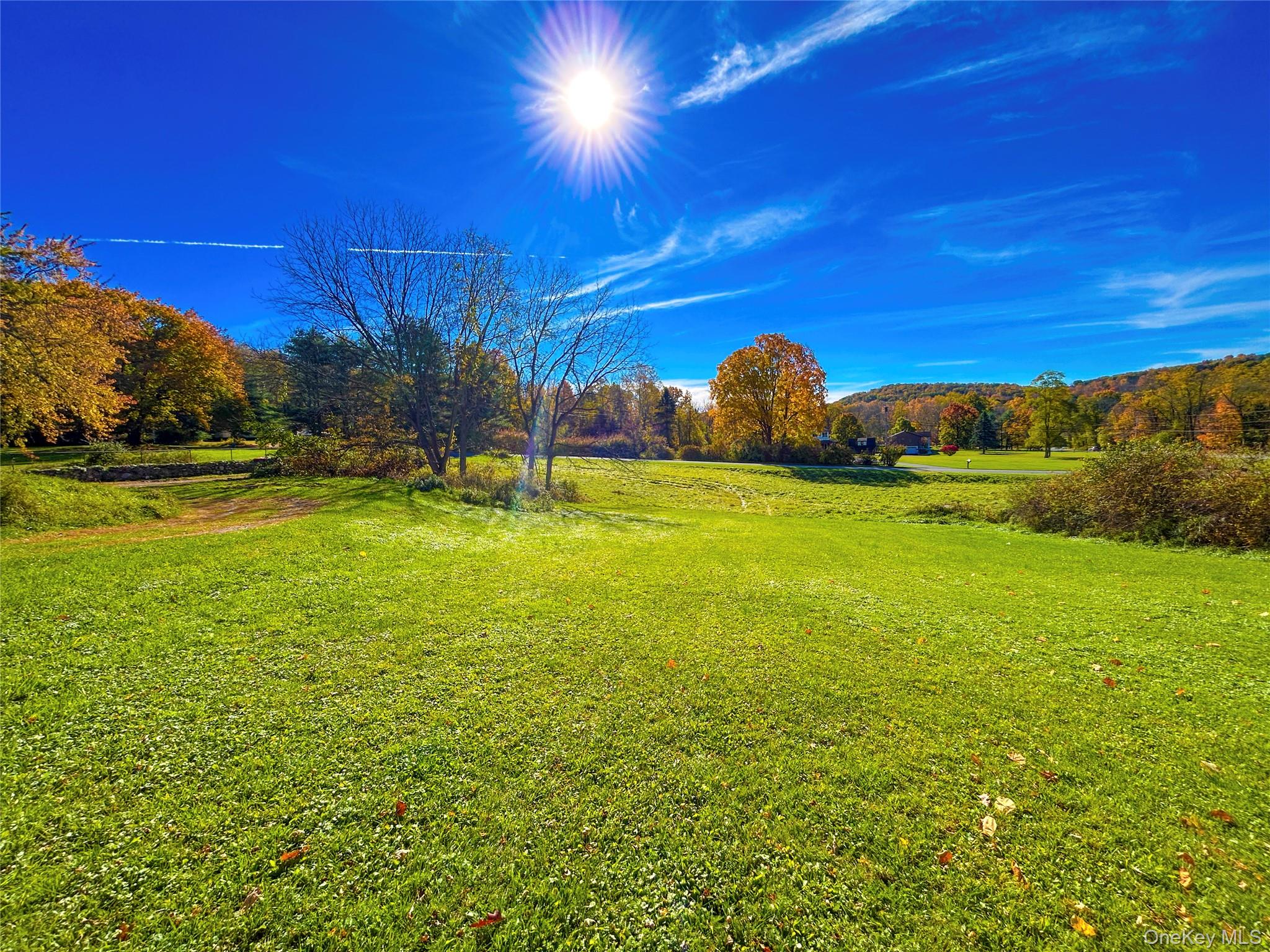 45 College Lane – For Sale photo 44