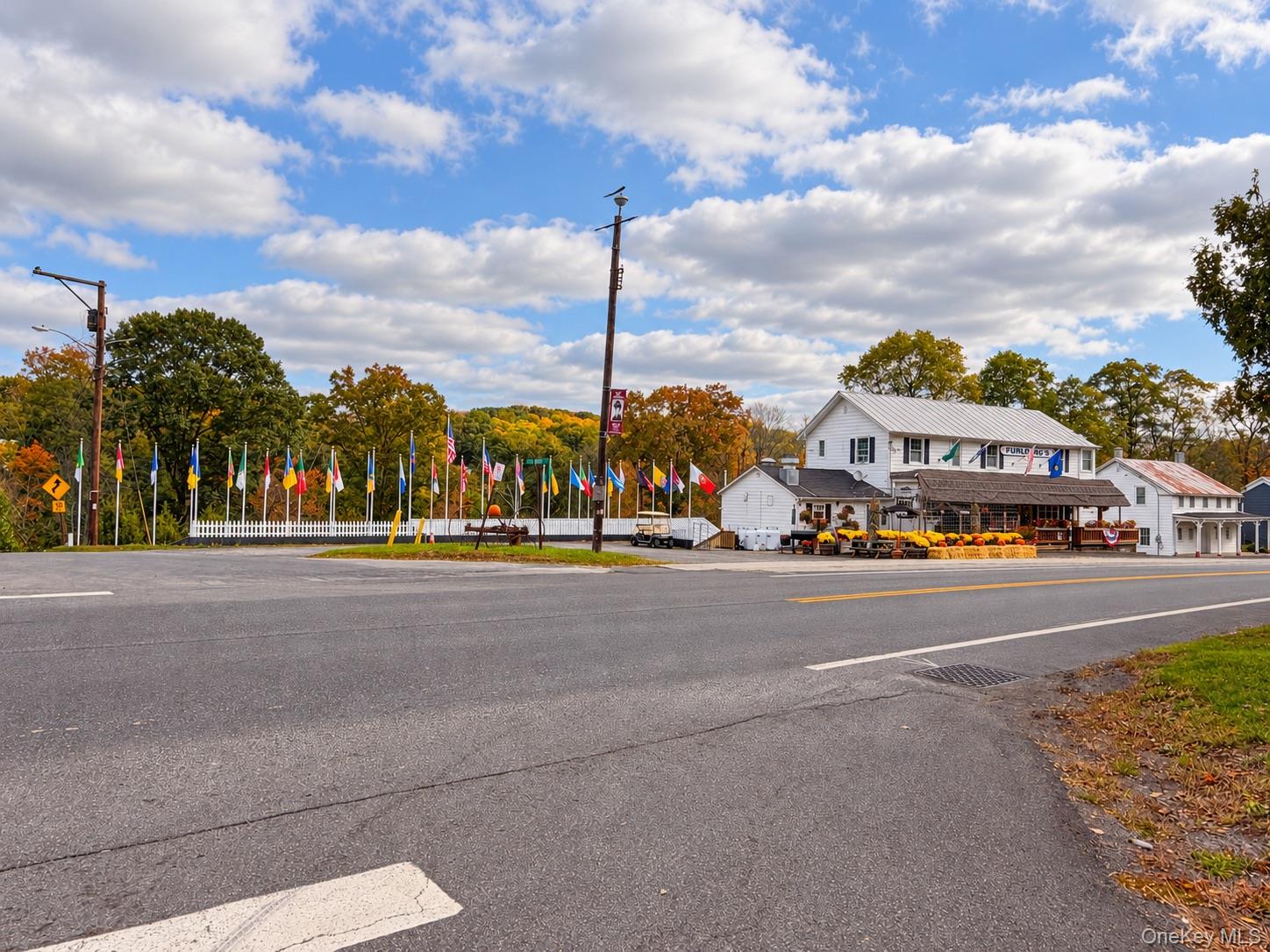 2478 Route 145 – For Sale photo 4
