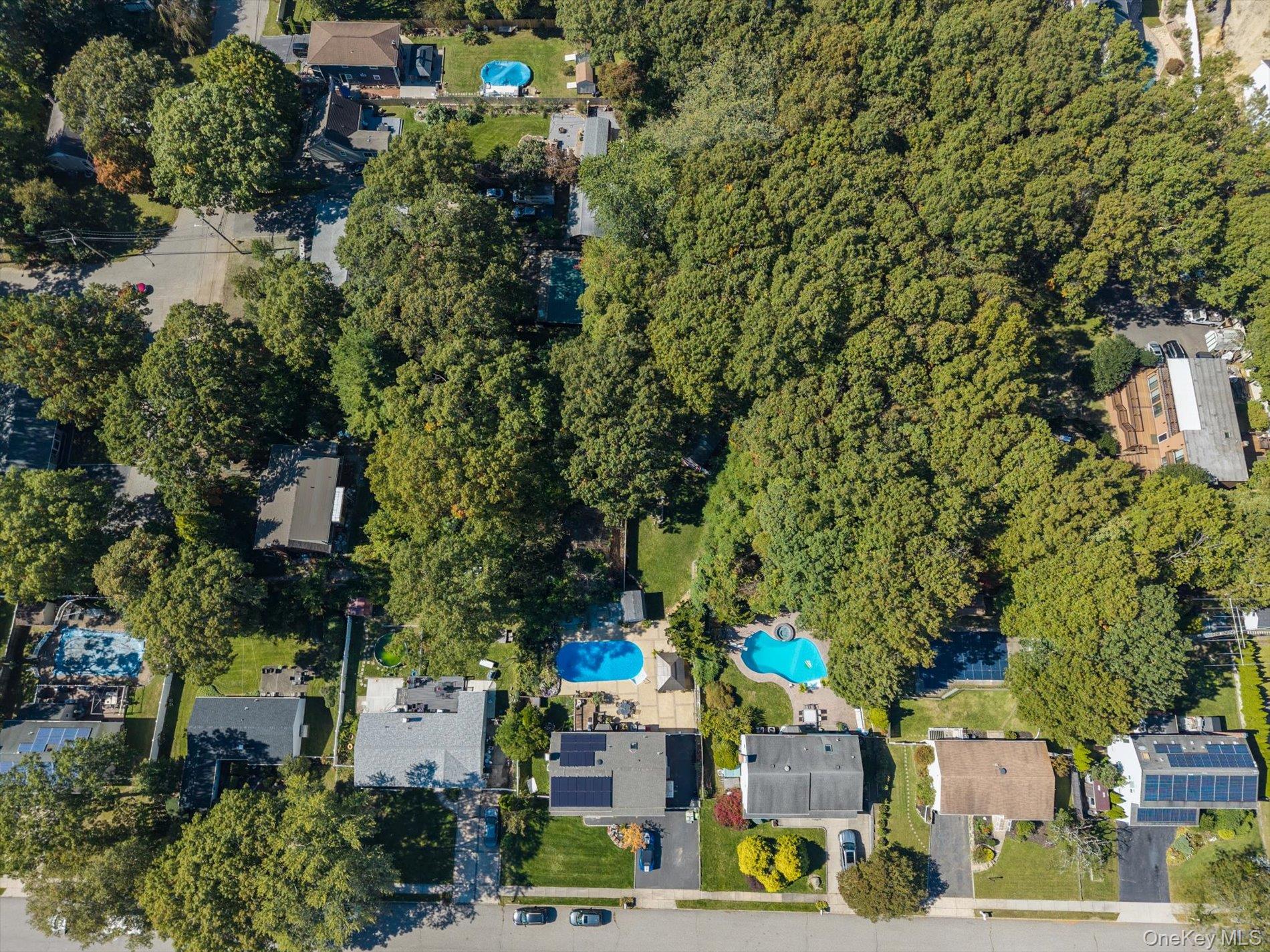 26 Olive Court – For Sale photo 5