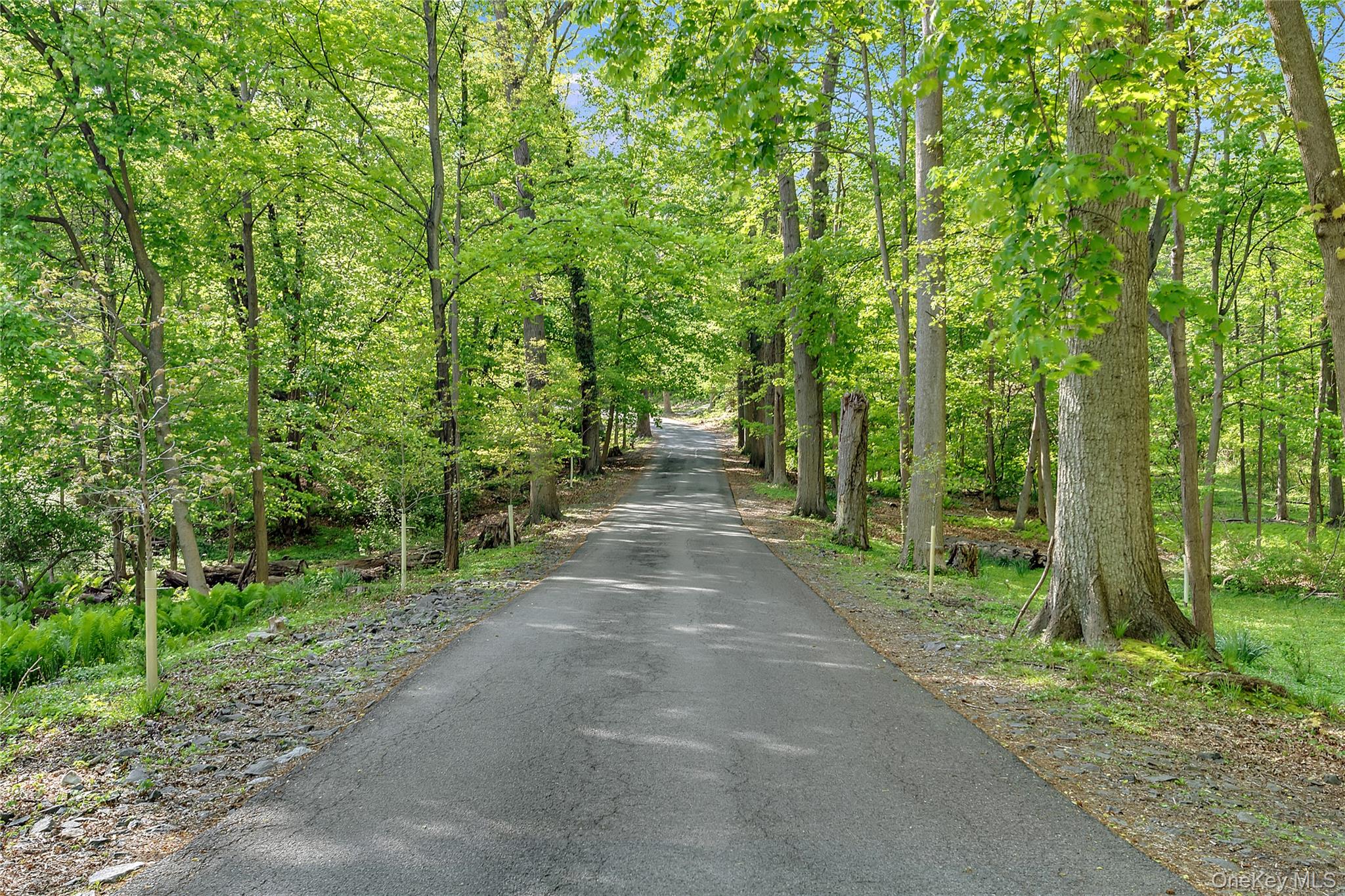 12 Ridgeland Manor – For Rent photo 22