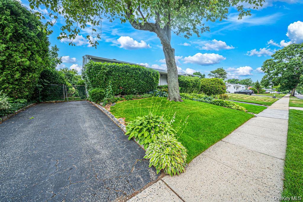 18 Edi Avenue – For Sale photo 3
