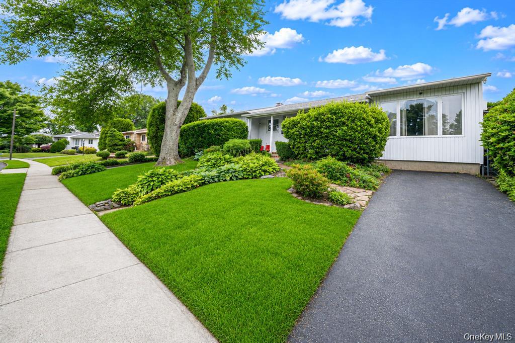 18 Edi Avenue – For Sale photo 2