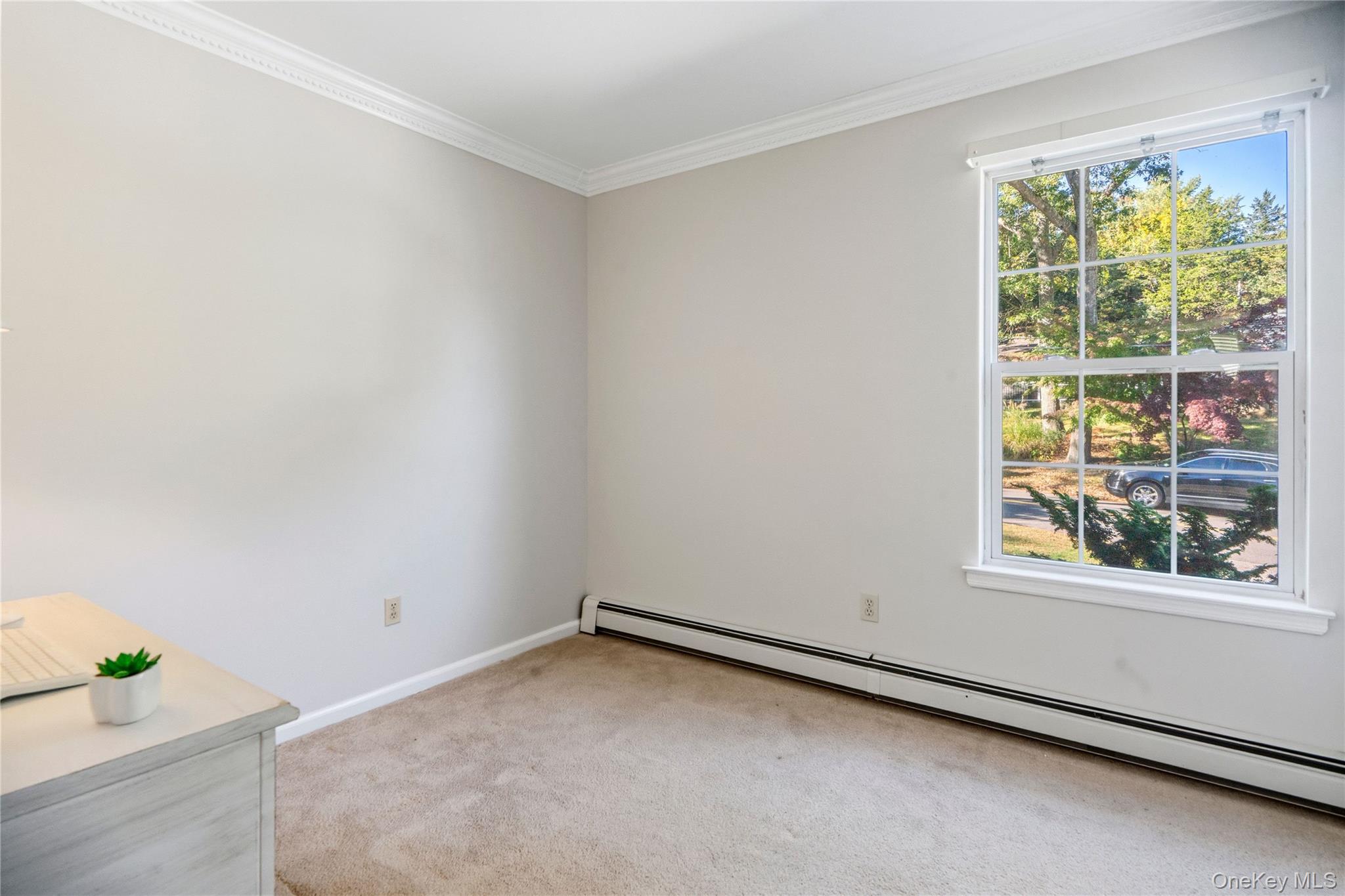 302 Locust Drive – For Sale photo 25