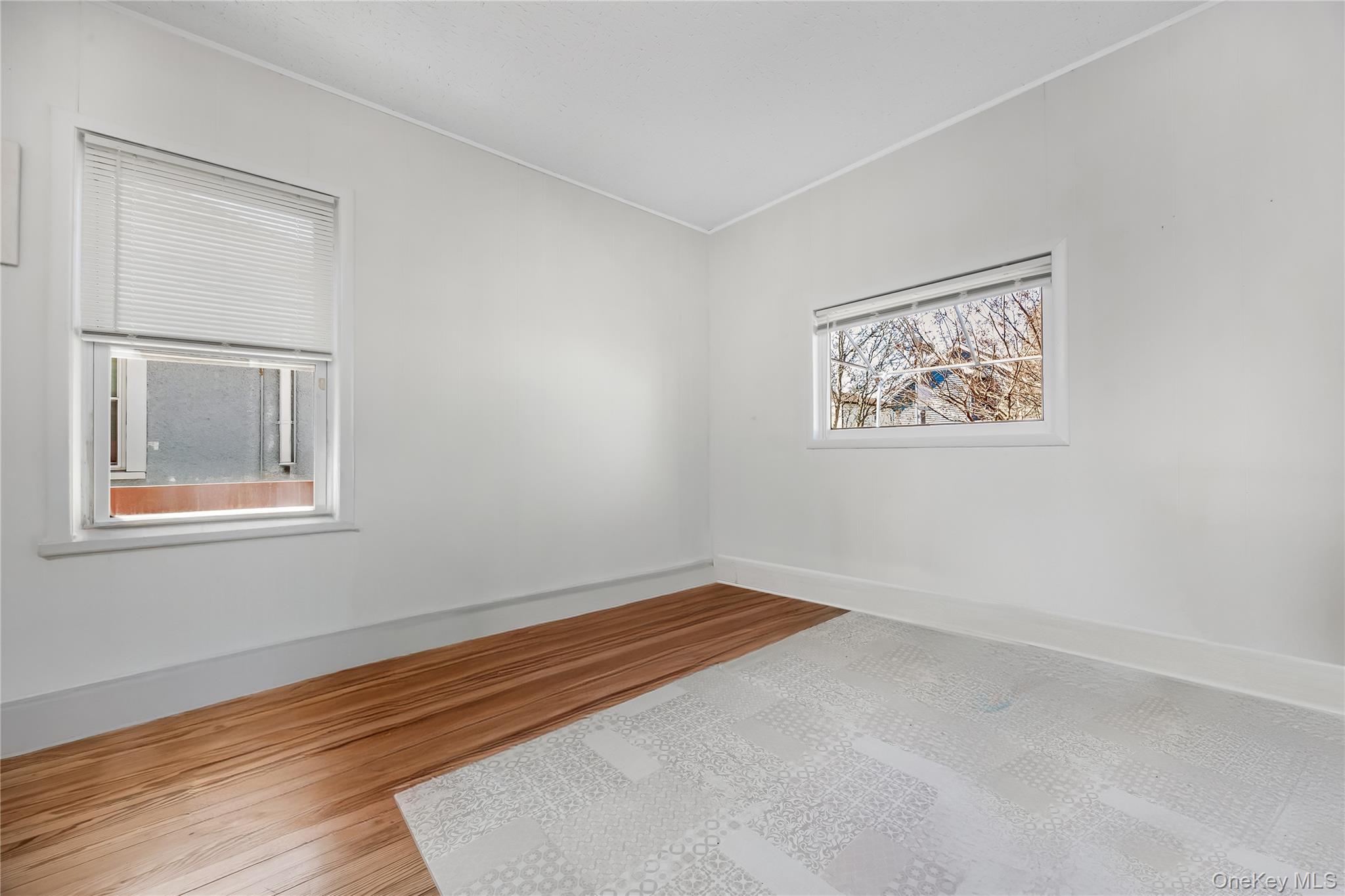 26 February Walk – For Rent photo 14